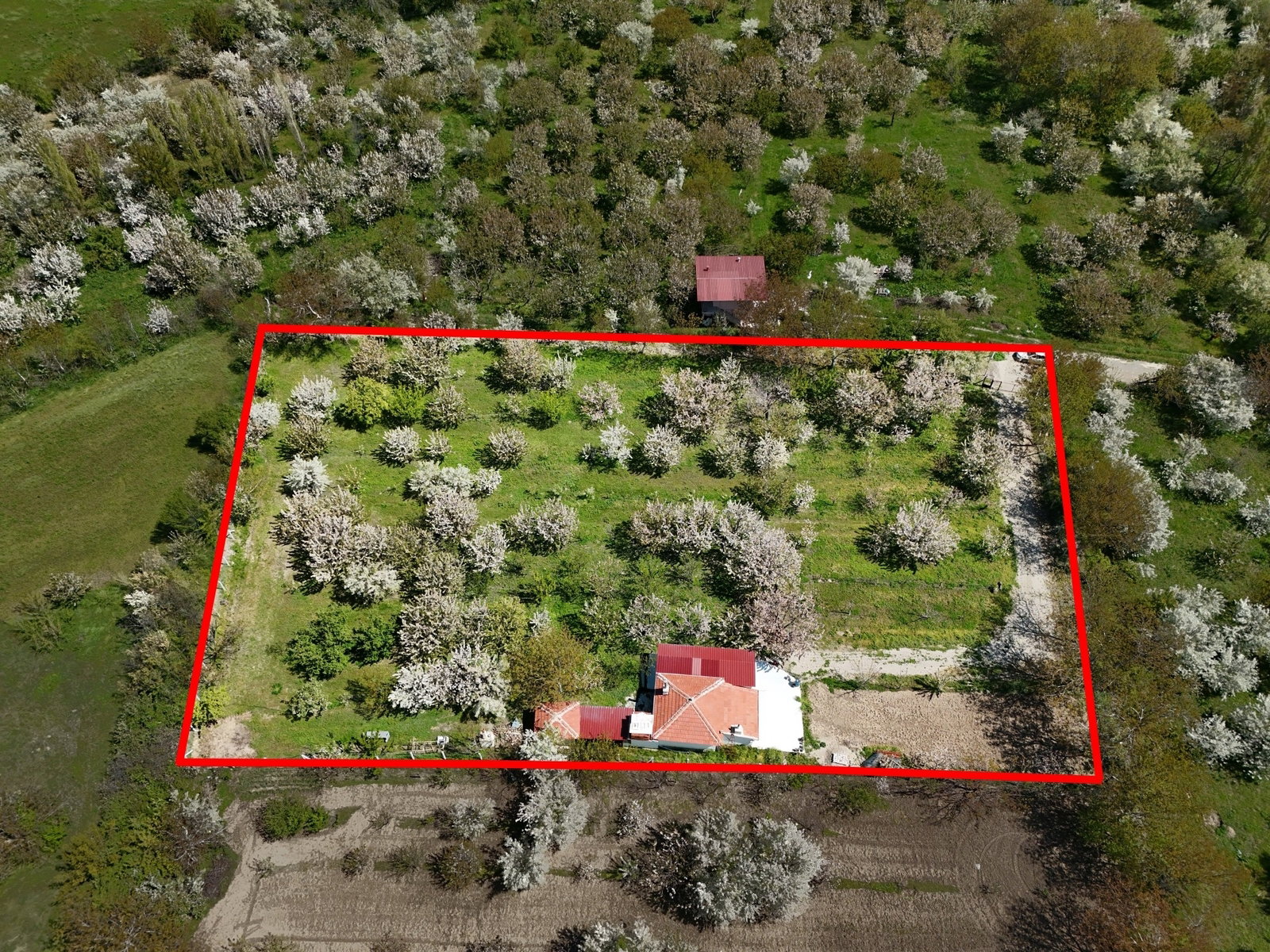 DOĞAYLA İÇ İÇE SATILIK 4.706m2 BAHÇELİ VE RUHSATLI MÜSTAKİL EV