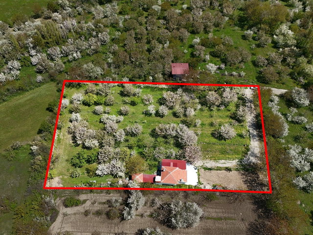 DOĞAYLA İÇ İÇE SATILIK 4.706m2 BAHÇELİ VE RUHSATLI MÜSTAKİL EV