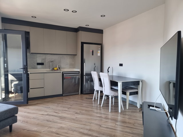 Altıntaş'ta Yeni Mobilyalı Havuz Manzaralı 1+1 Kiralık Daire