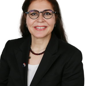 Mervan Eren