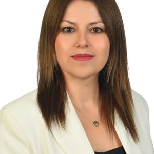 Seher Uçak