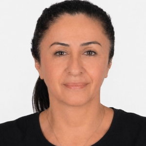 Hidayet Özdamarlar